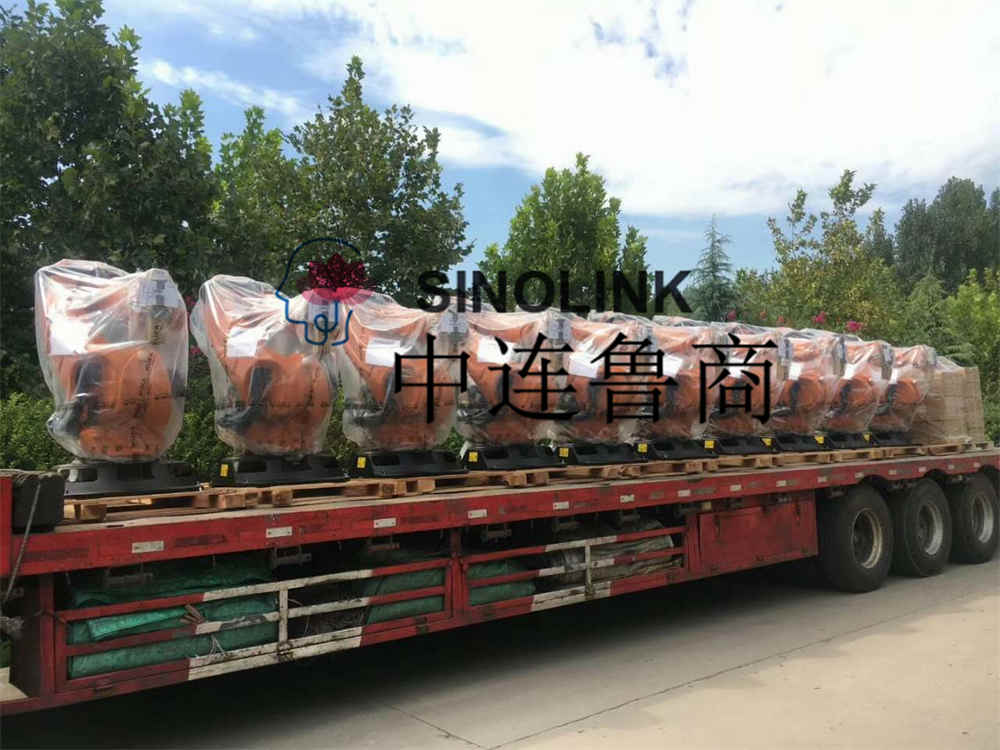 Braço do robô de paletização para vendas na China