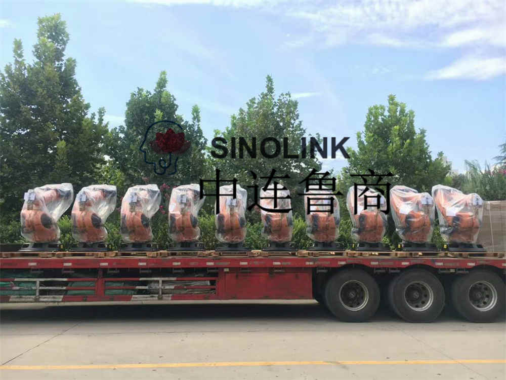 Braço do robô de paletização para vendas na China