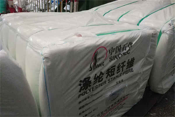 Alça de embalagem PP PP packaging strap